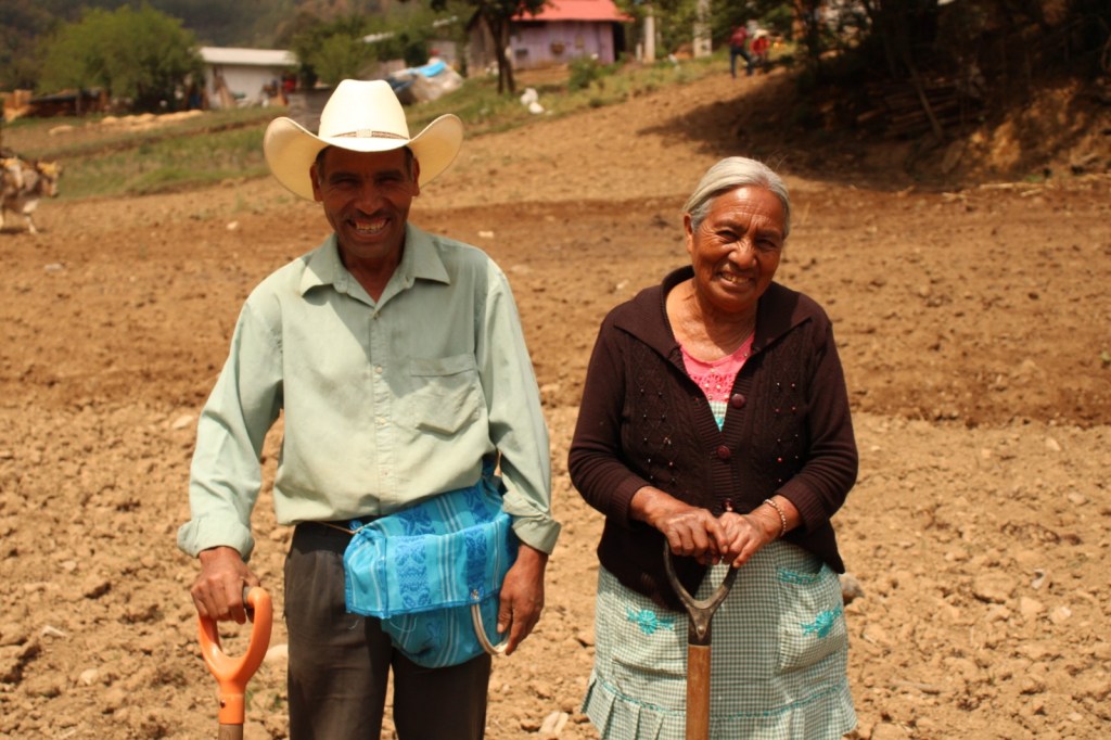 Transición agroecológica: Nueva forma de atender el campo